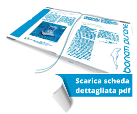 Scarica scheda  dettagliata pdf